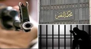 من تقديم البلاغ حتى صدور الحكم